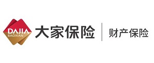 大家财险