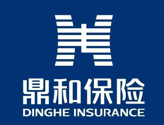 鼎和财险